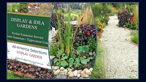 Master Gardeners Display and Idea Gardens